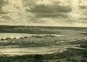 Port drzewny  firmy Paged – port w Gdyni.