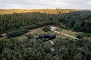 Teren Leśnego Ogrodu Botanicznego Marszewo w Gdyni.