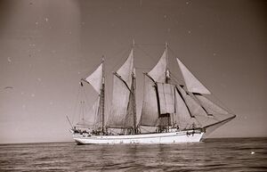 Żaglowiec Zawisza Czarny pod pełnymi żaglami.