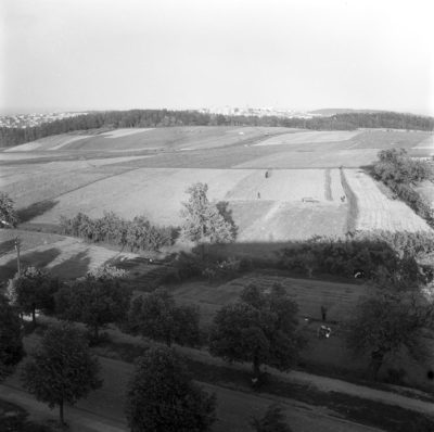 Pejzaż – obrzeża Gdyni