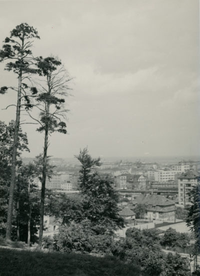 Bez tytułu (Panorama Gdyni z rejonu Działek Leśnych – widok w stronę ul. Dworcowej)