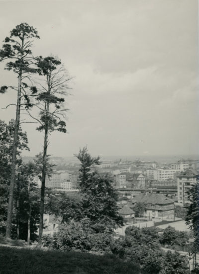 Bez tytułu (Panorama Gdyni z rejonu Działek Leśnych ? widok w stronę ul. Dworcowej)