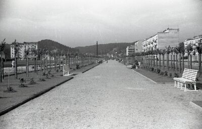 Promenada spacerowa wzdłuż alei Marszałka Józefa Piłsudskiego w Gdyni